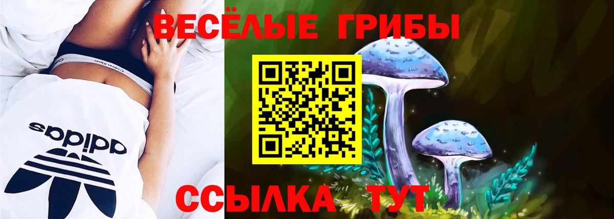 Псилоцибиновые грибы ЛСД  Вход с VPN  где купить наркотик  Серов 